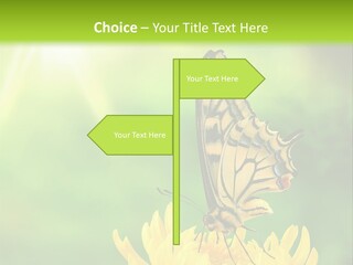 Cloud Agent Blue Sky PowerPoint Template