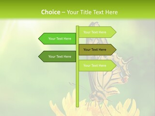 Cloud Agent Blue Sky PowerPoint Template