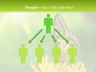 Cloud Agent Blue Sky PowerPoint Template