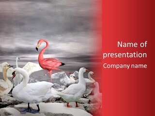 Selling Conceptual Buy PowerPoint Template