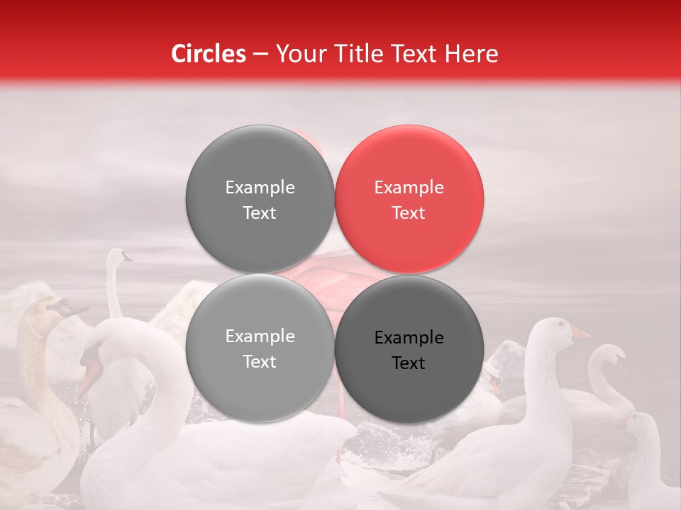 Selling Conceptual Buy PowerPoint Template