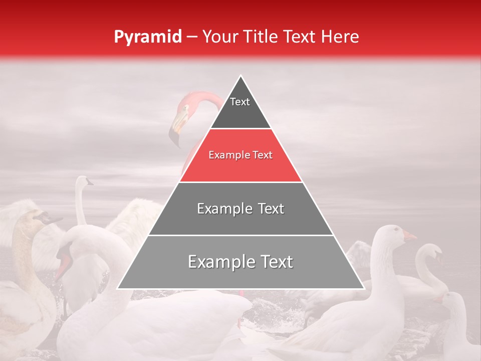 Selling Conceptual Buy PowerPoint Template