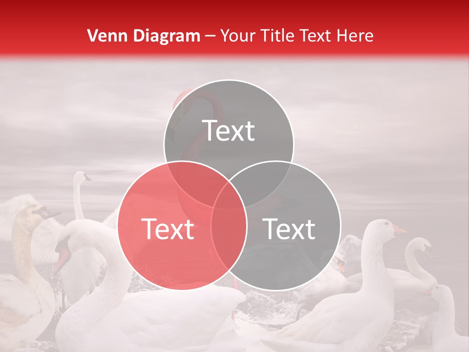 Selling Conceptual Buy PowerPoint Template