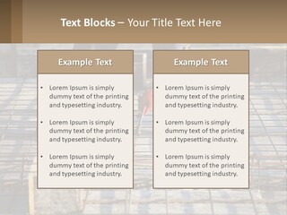 Human Hand Lawn Park PowerPoint Template