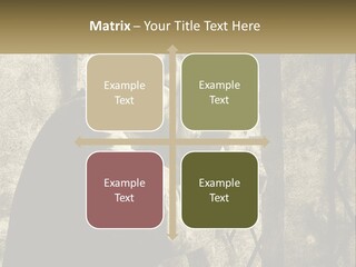 Model Business Residential PowerPoint Template