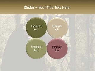 Model Business Residential PowerPoint Template