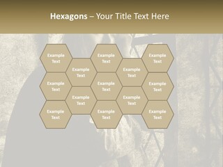 Model Business Residential PowerPoint Template