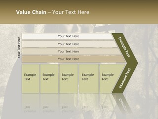 Model Business Residential PowerPoint Template