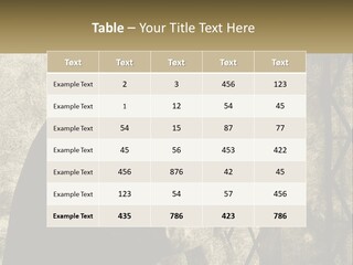Model Business Residential PowerPoint Template