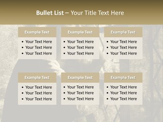 Model Business Residential PowerPoint Template