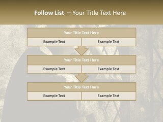 Model Business Residential PowerPoint Template