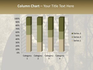 Model Business Residential PowerPoint Template