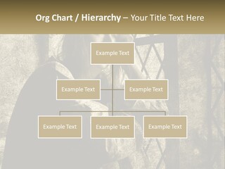 Model Business Residential PowerPoint Template