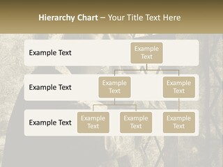 Model Business Residential PowerPoint Template