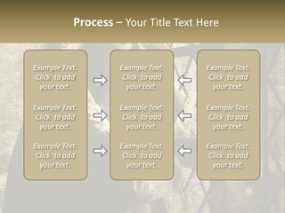 Model Business Residential PowerPoint Template