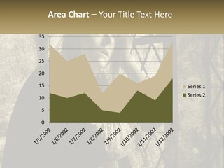Model Business Residential PowerPoint Template