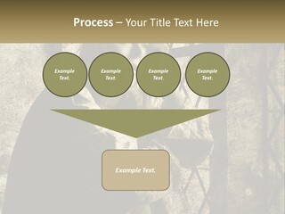Model Business Residential PowerPoint Template