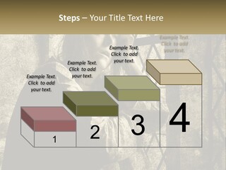 Model Business Residential PowerPoint Template