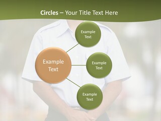 Background Agent Leaf PowerPoint Template