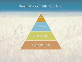 Cloud Green Blue Sky PowerPoint Template