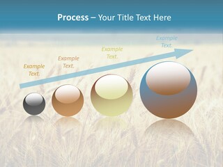 Cloud Green Blue Sky PowerPoint Template