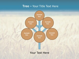 Cloud Green Blue Sky PowerPoint Template