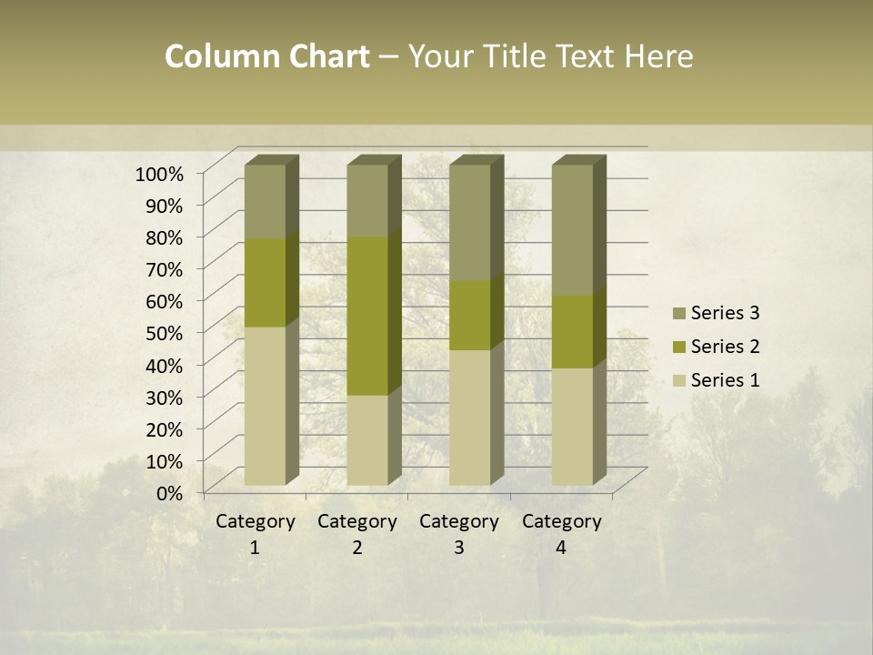Business Man Architect PowerPoint Template