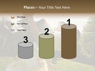 Business Model Garden PowerPoint Template