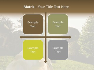 Business Model Garden PowerPoint Template