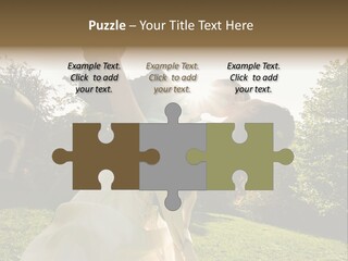 Business Model Garden PowerPoint Template