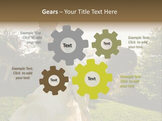 Business Model Garden PowerPoint Template