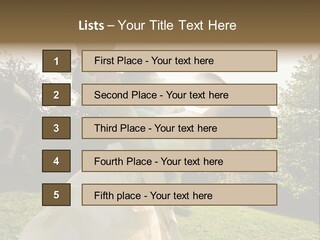 Business Model Garden PowerPoint Template