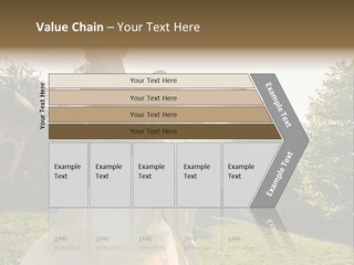 Business Model Garden PowerPoint Template