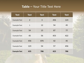 Business Model Garden PowerPoint Template