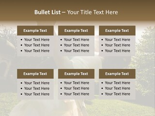 Business Model Garden PowerPoint Template