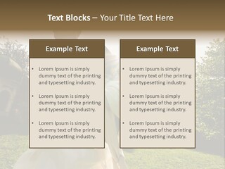 Business Model Garden PowerPoint Template