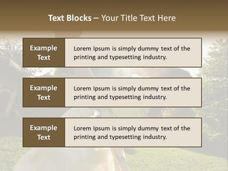 Business Model Garden PowerPoint Template