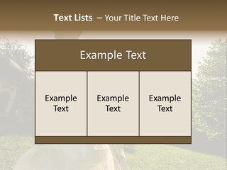 Business Model Garden PowerPoint Template