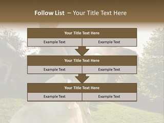 Business Model Garden PowerPoint Template