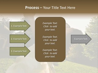 Business Model Garden PowerPoint Template