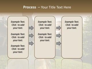 Business Model Garden PowerPoint Template