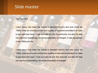 Small Construct Model PowerPoint Template