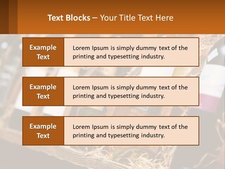 Small Construct Model PowerPoint Template