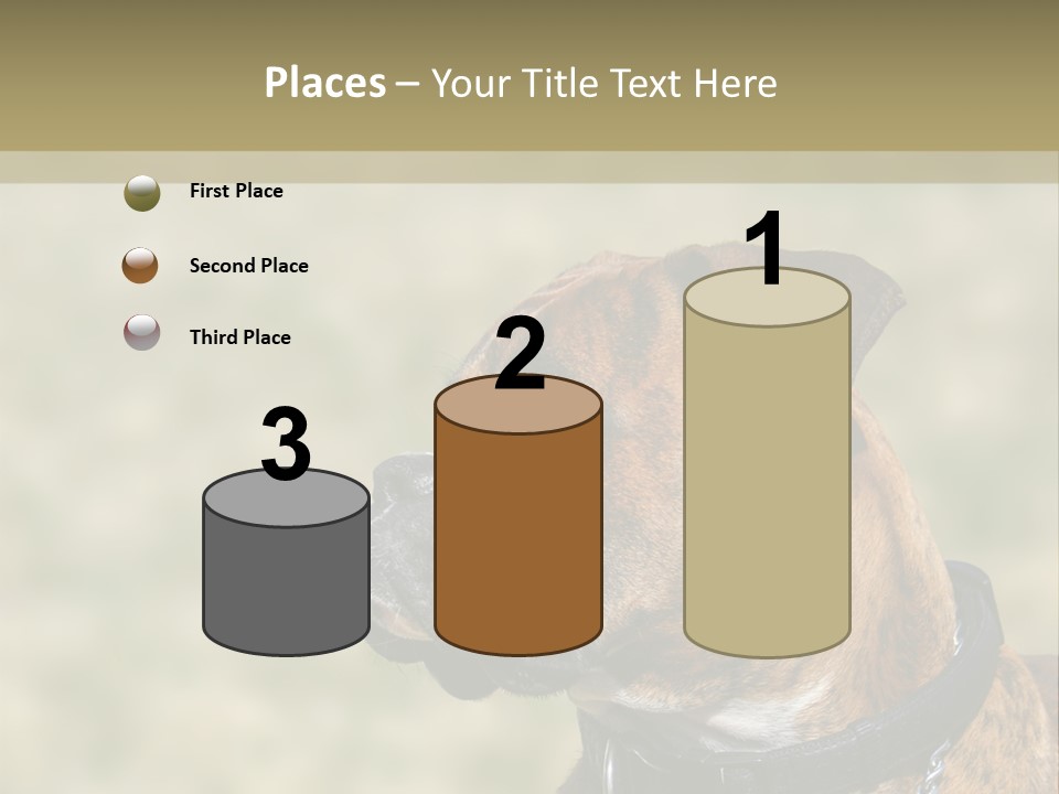 Nature Residential Business PowerPoint Template