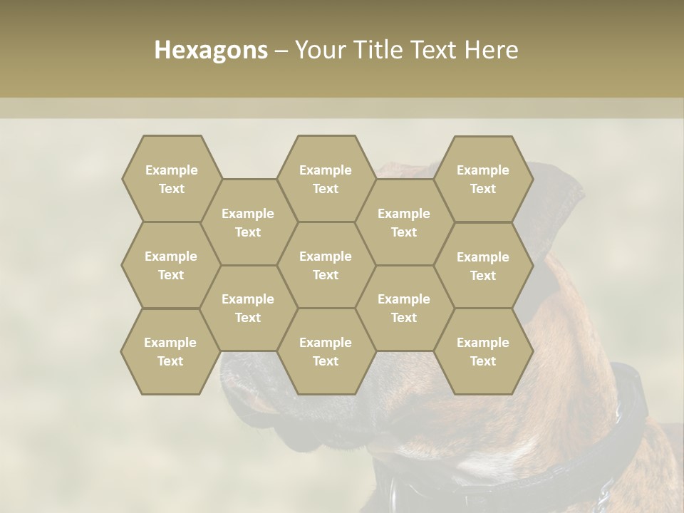 Nature Residential Business PowerPoint Template