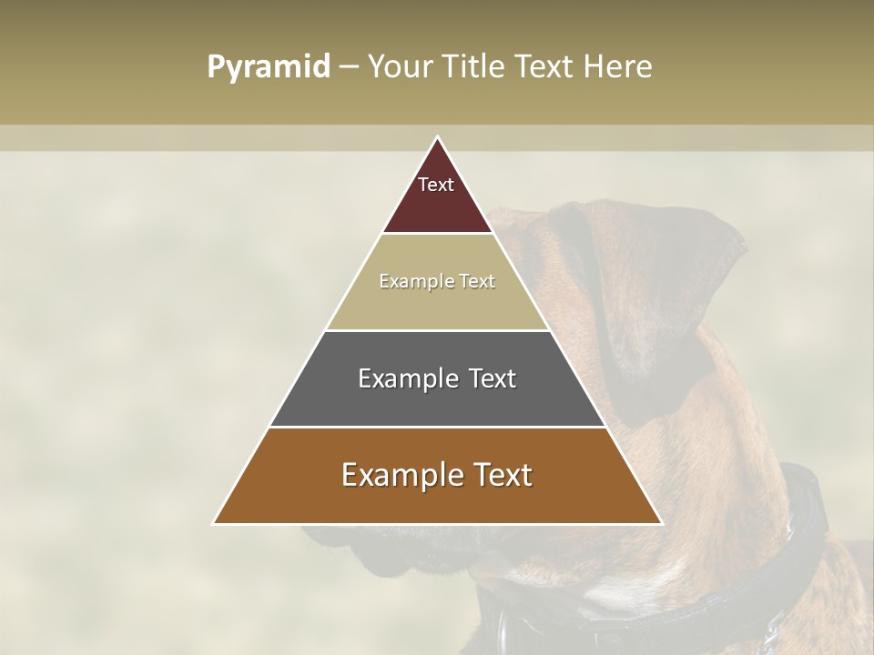 Nature Residential Business PowerPoint Template