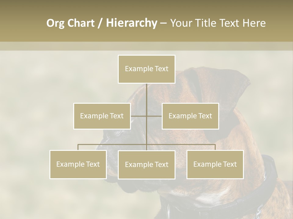 Nature Residential Business PowerPoint Template