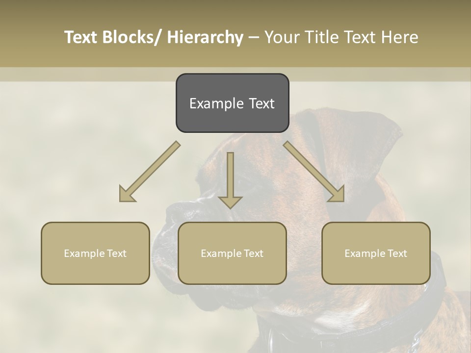Nature Residential Business PowerPoint Template