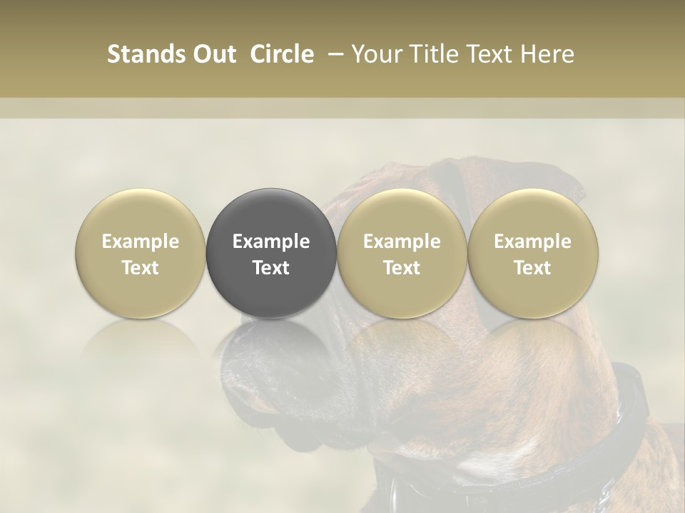 Nature Residential Business PowerPoint Template