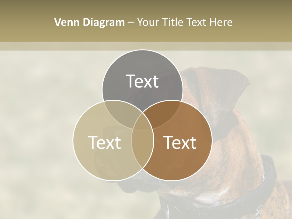 Nature Residential Business PowerPoint Template